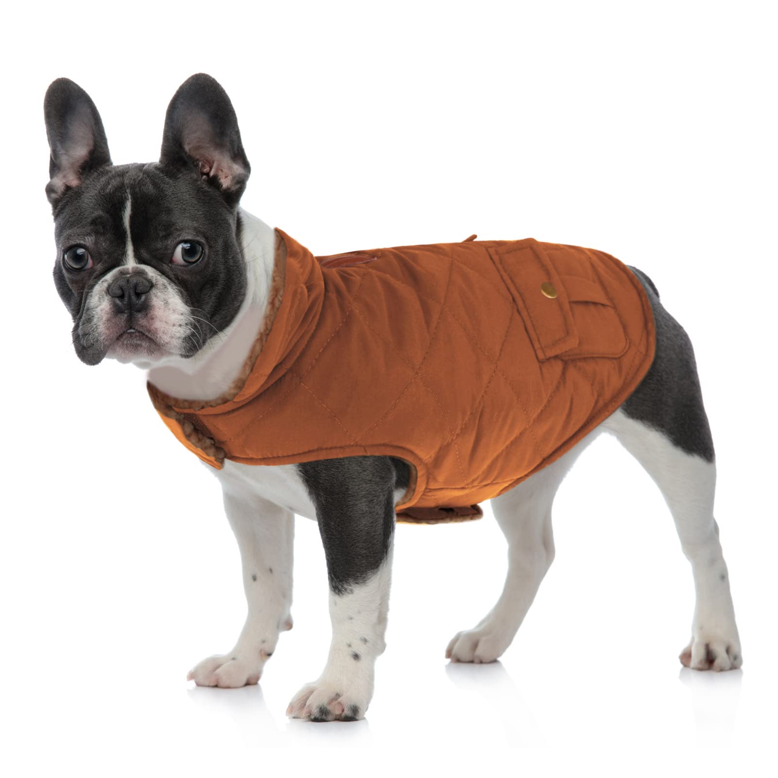 Queenmore Cold Weather Dog Coat, Winter Quilting Dog Jacket Ultra Warm Thick Plush Lining With Storage Pockets (Brown, X-Small)