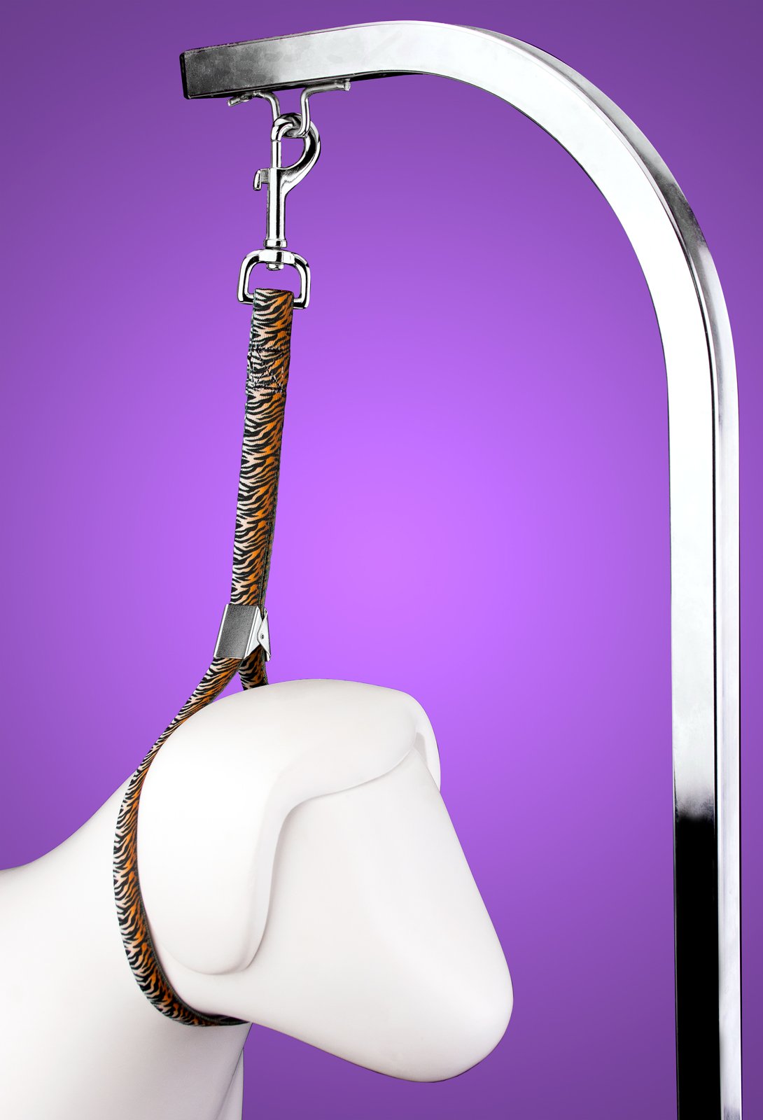 Country Brook Petz Dog & Pet 5/8 Inch Grooming Loop With Spring Loaded Clip - 18 Unique Designs For Grooming And Vet Tables (Ben