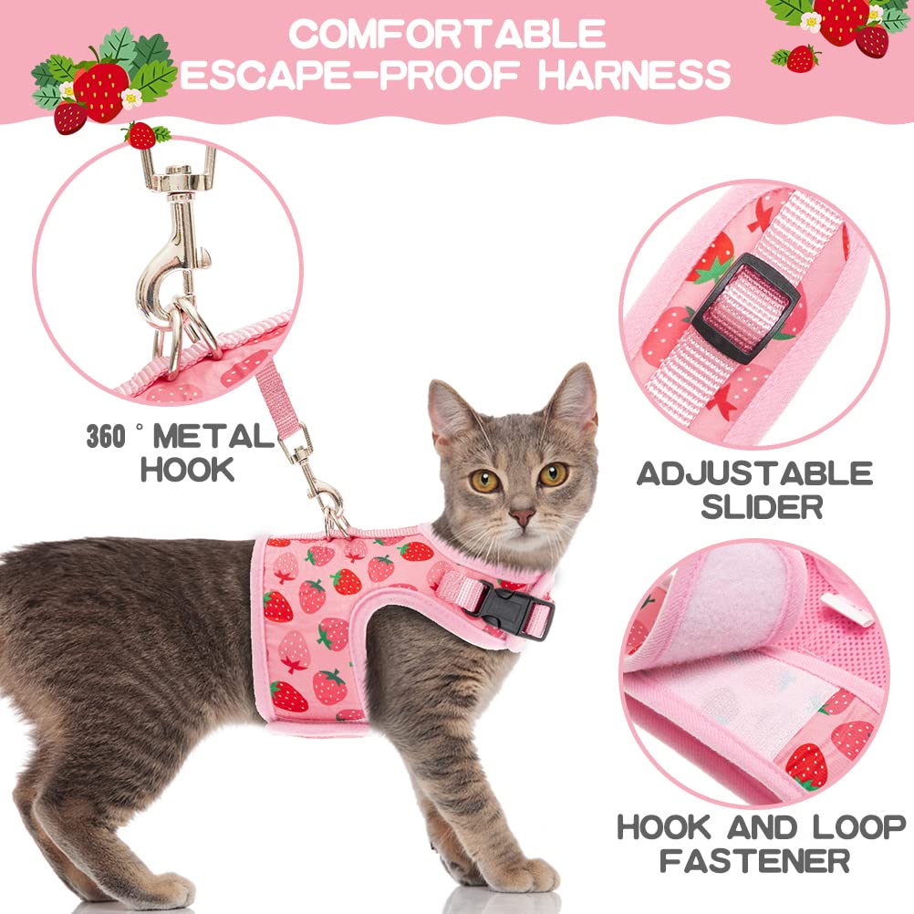 Bingpet Cat Harness With Leash Escape Proof - Fashionable Mesh Cat Dog Walking Harness Leads, Adjustable For Kitties Puppies Small Animals