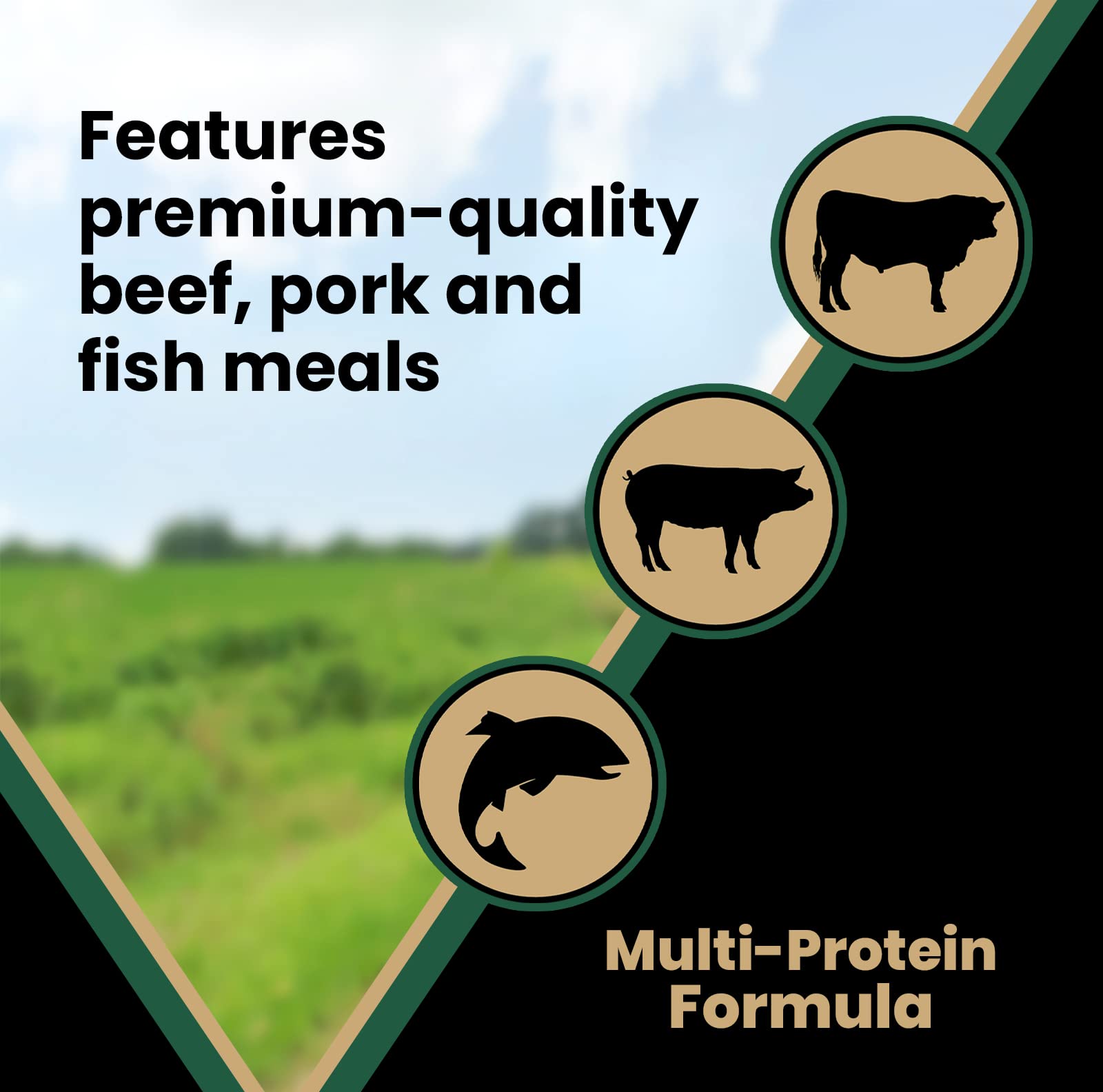 VICTOR Super Premium Dog Food - Purpose - Grain Free Hero Canine - Premium Gluten Free Dog Food for Active Adult Dogs - High Pro