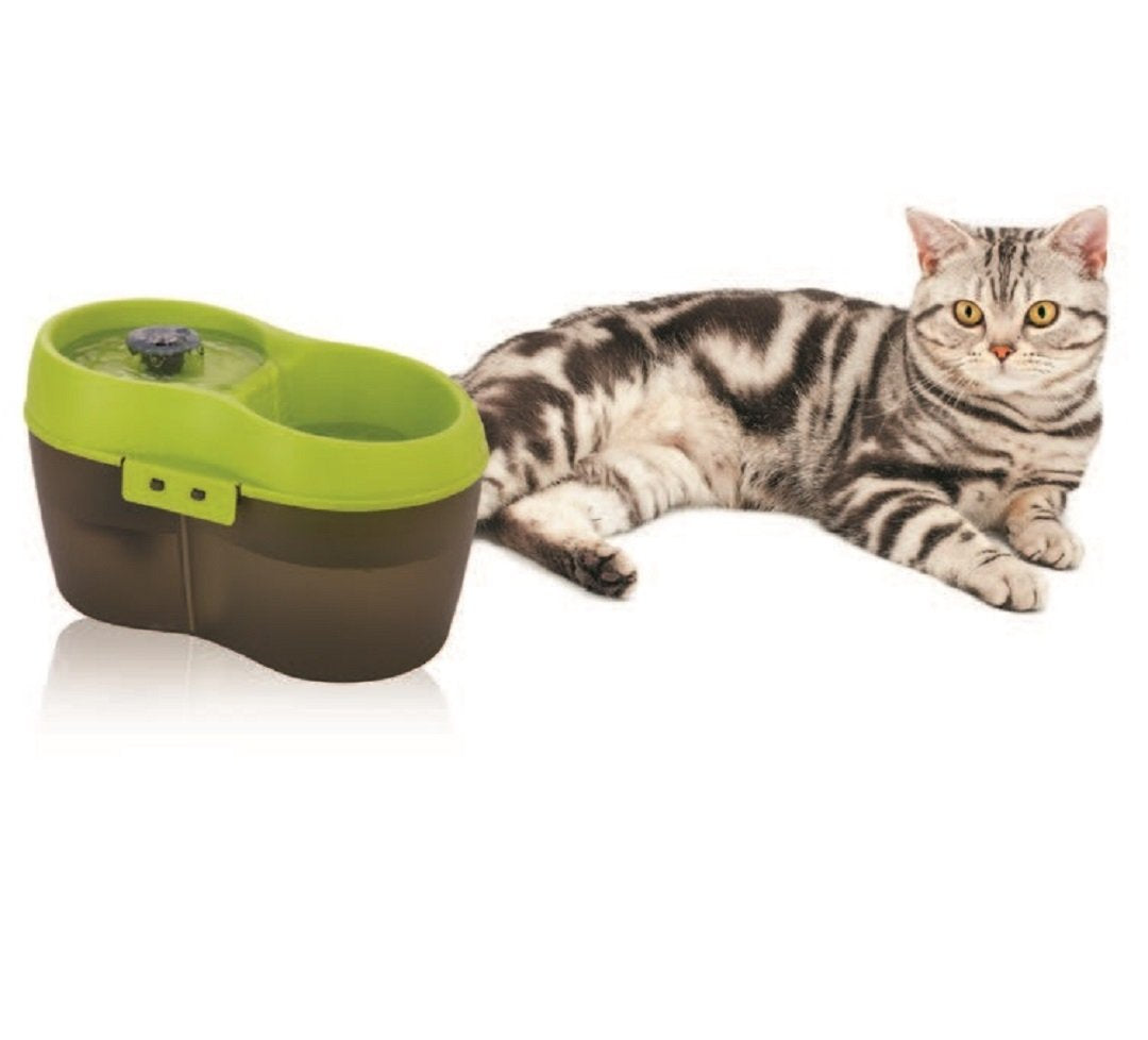 Cat H2O Filtered Cat Water Fountain 67 Fl. Oz/2.1 Quart With Filter & Dental Care Tablet, Lime Green/Translucent Black