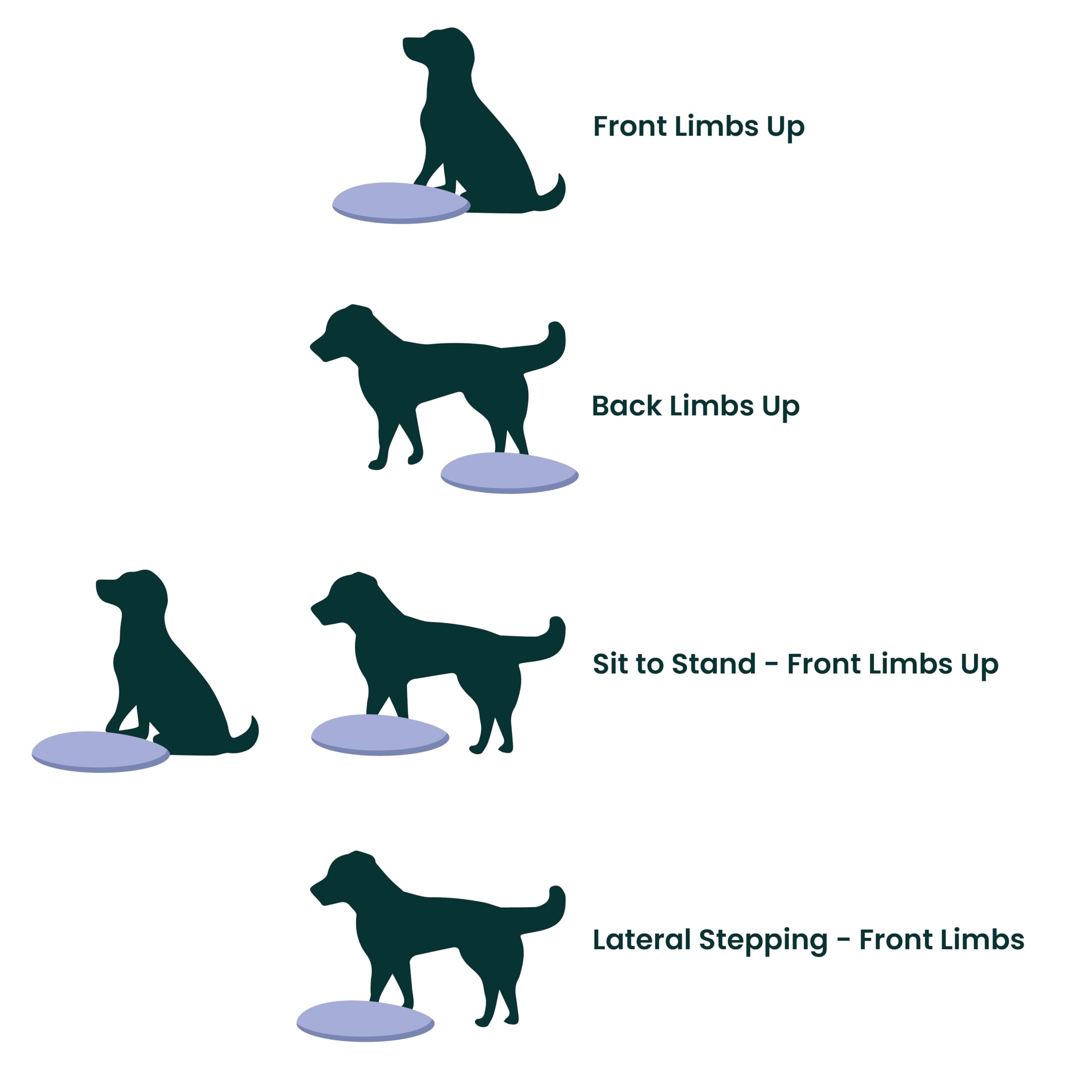 Fitpaws® Dog Balance Disc - Razzleberry, 14' | Dog Exercise Equipment | Workout Tool For Strength, Core, Stability & Rehabilitation