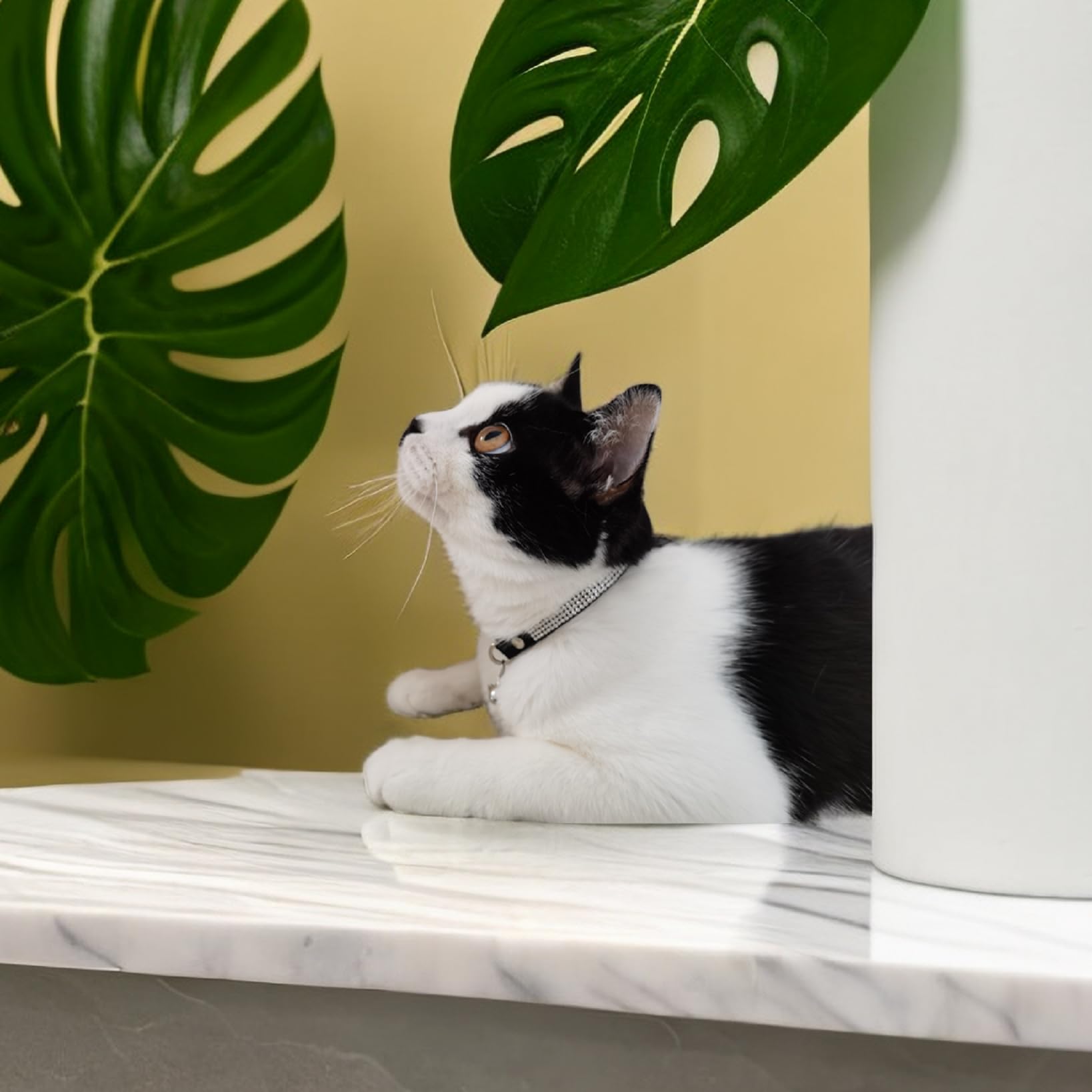 Rhinestone Cat Collar Breakaway Safety Buckle With Bell, Adjustable Diamond Girl Boy Kitty Cute Comfy Collar For Kitten Small Pe