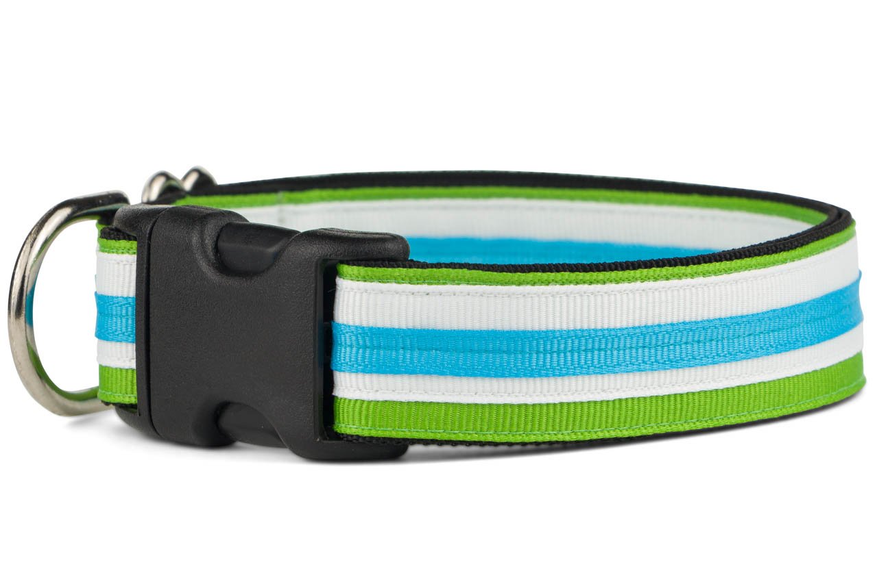 If It Barks 1'' Designer Striped Dog Collar (Medium (15''-22''), Pacific)