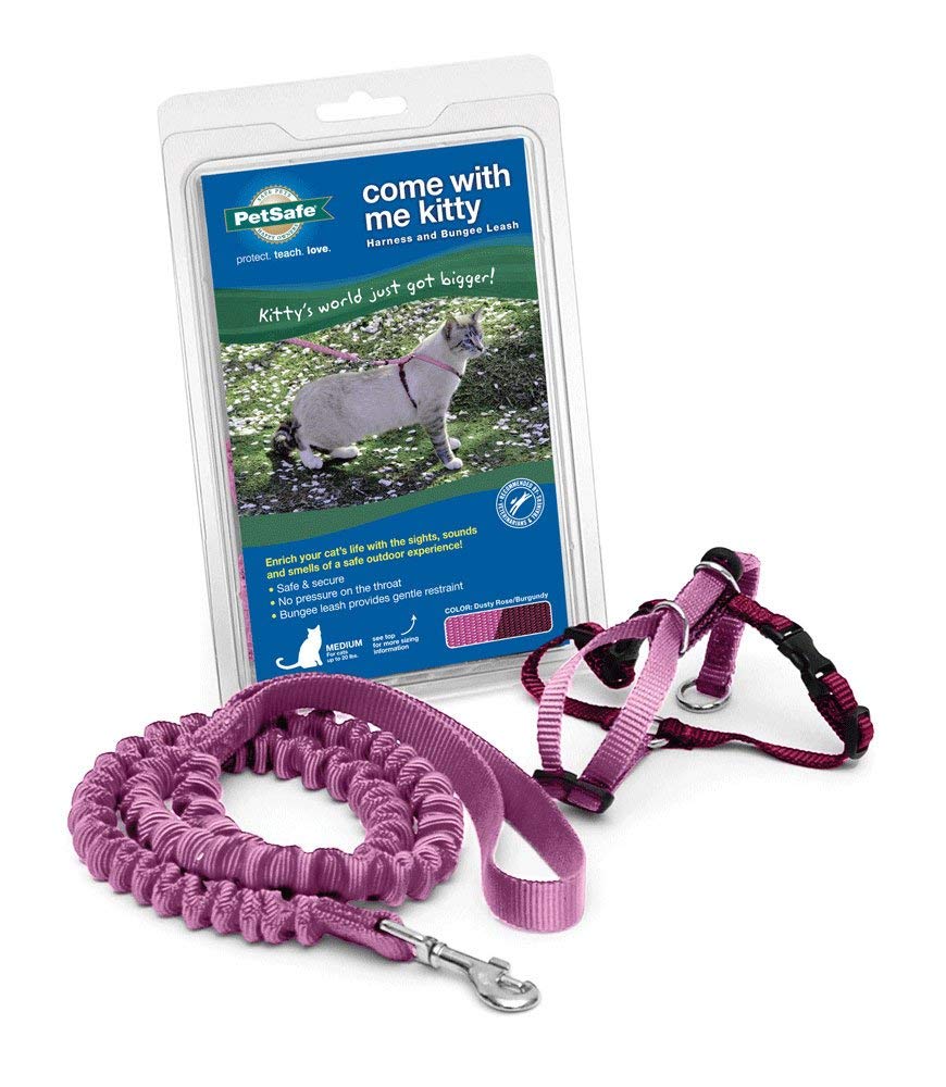 Petsafe Come With Me Kitty Harness And Bungee Leash, Large, Dusty Rose
