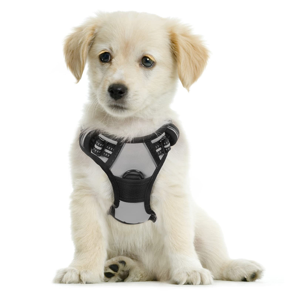 Rabbitgoo Dog Harness, No-Pull Pet Harness With 2 Leash Clips, Adjustable Soft Padded Dog Vest, Reflective No-Choke Pet Oxford Vest With Easy Control Handle For Small Dogs, Grey, S