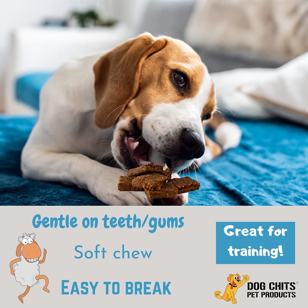 Dog Chits Lamb and Flaxseed Soft Chew for Dogs - Dog and Puppy Chews | Made in USA | USA Lamb | All Natural Treats | Large and S
