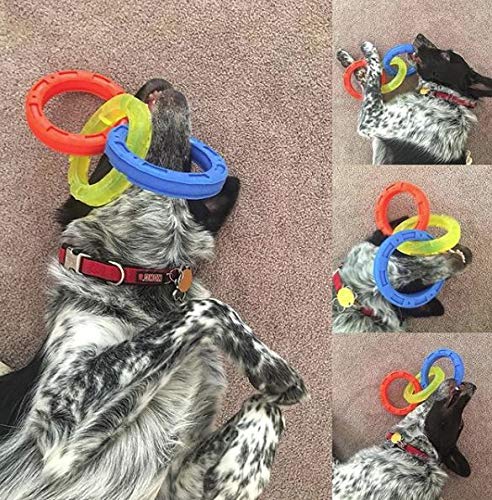 Nerf Dog 10.5In Rubber 3-Ring Tug Dog Toy, Lightweight, Durable And Water Resistant, Single Unit, Blue/Green/Orange