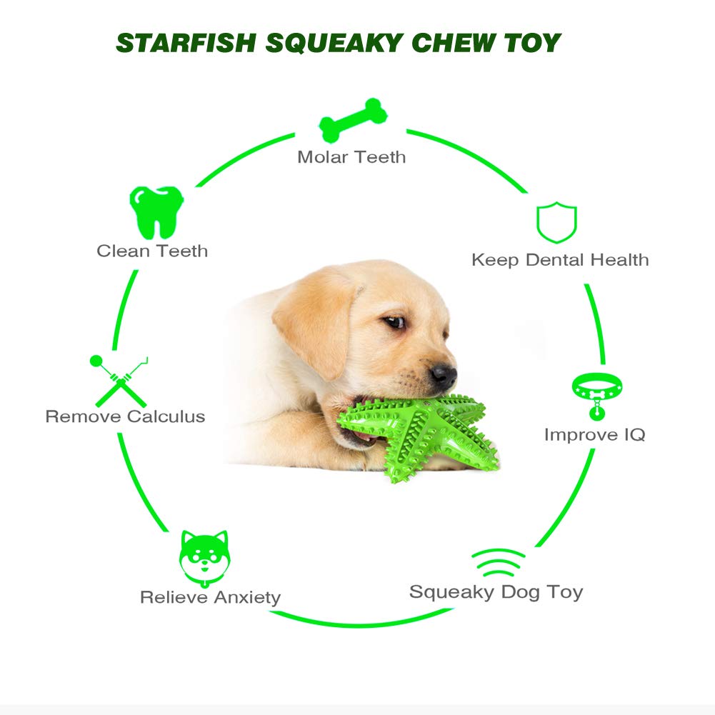 Idolpet Squeaky Dog Toys - Starfish Natural Teeth Cleaning Toy For Small & Medium Dogs (Green)