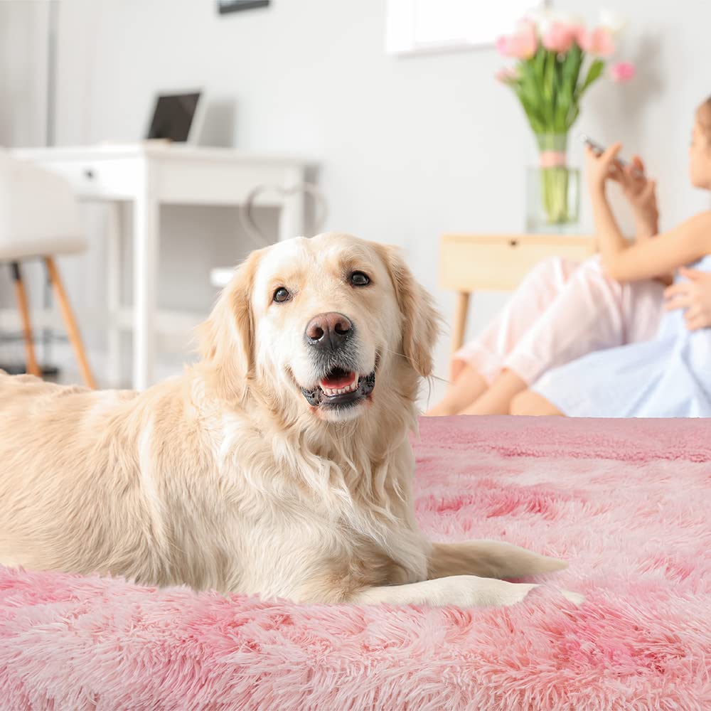 Petami Waterproof Dog Blanket For Small Medium Dog, Puppy Pet Blanket Couch Cover Protection, Sherpa Fleece Fuzzy Cat Blanket Throw Sofa Bed Furniture Protector Reversible Soft, 29X40 Tie-Dye Pink