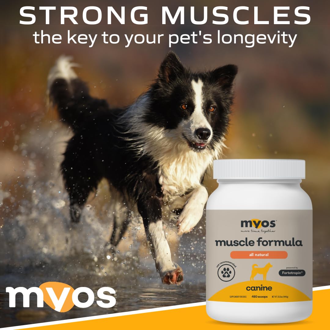 MYOS Canine Muscle Formula - All-Natural Muscle Building Supplement - Helps Reduce Muscle Loss in Aging Dogs and Improve Recover