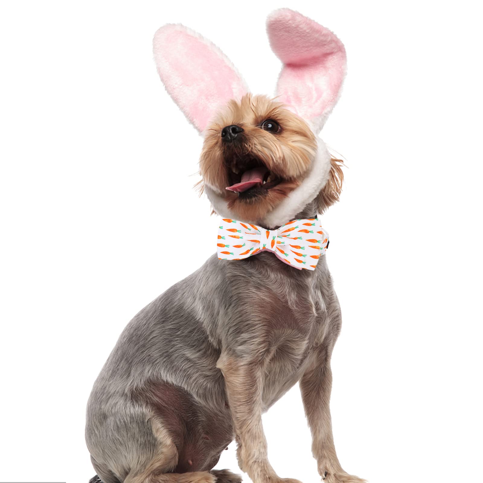 Mr.Chubbyface Orange Dog Easter Collar With Bow, Soft Cotton & Metal Buckle, Adjustable Size L, Gps Tracking, Unisex, Medium Bre