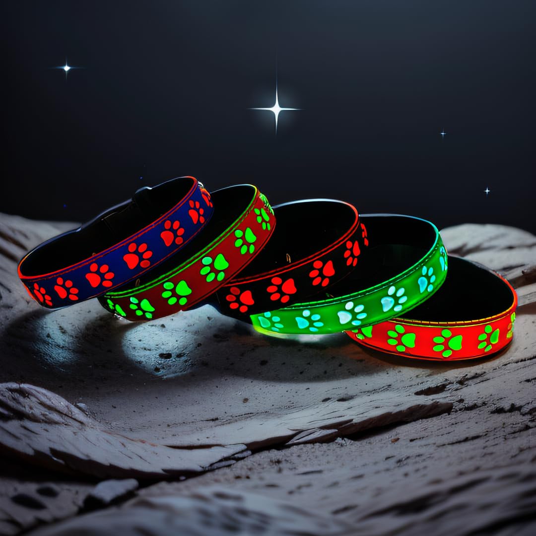 Dogled Led Light Up Dog Collar, Usb-C Rechargeable, Multicolor Paw Print Design, 15 Modes Lighting Night Safety (Blue, M(11.8-15