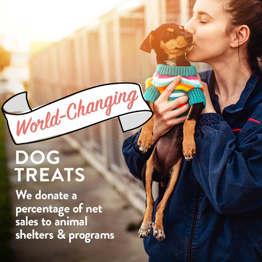 Portland Pet Food Company Pumpkin Dog Treats Healthy Biscuits for Small Medium & Large Dogs - Grain-Free, Human-Grade, All Natur