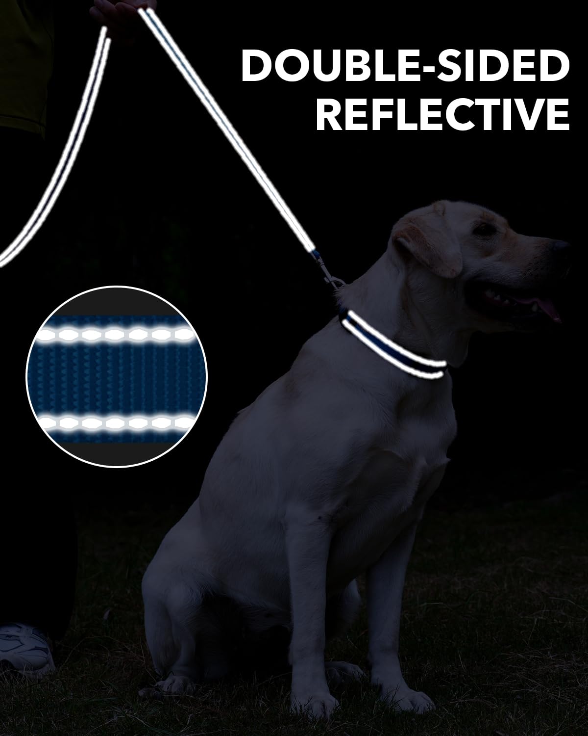 Taglory Nylon Dog Leash 6Ft, Soft Padded Handle Pet Reflective Leashes For Medium Large Dogs Walking & Training, Sky Blue
