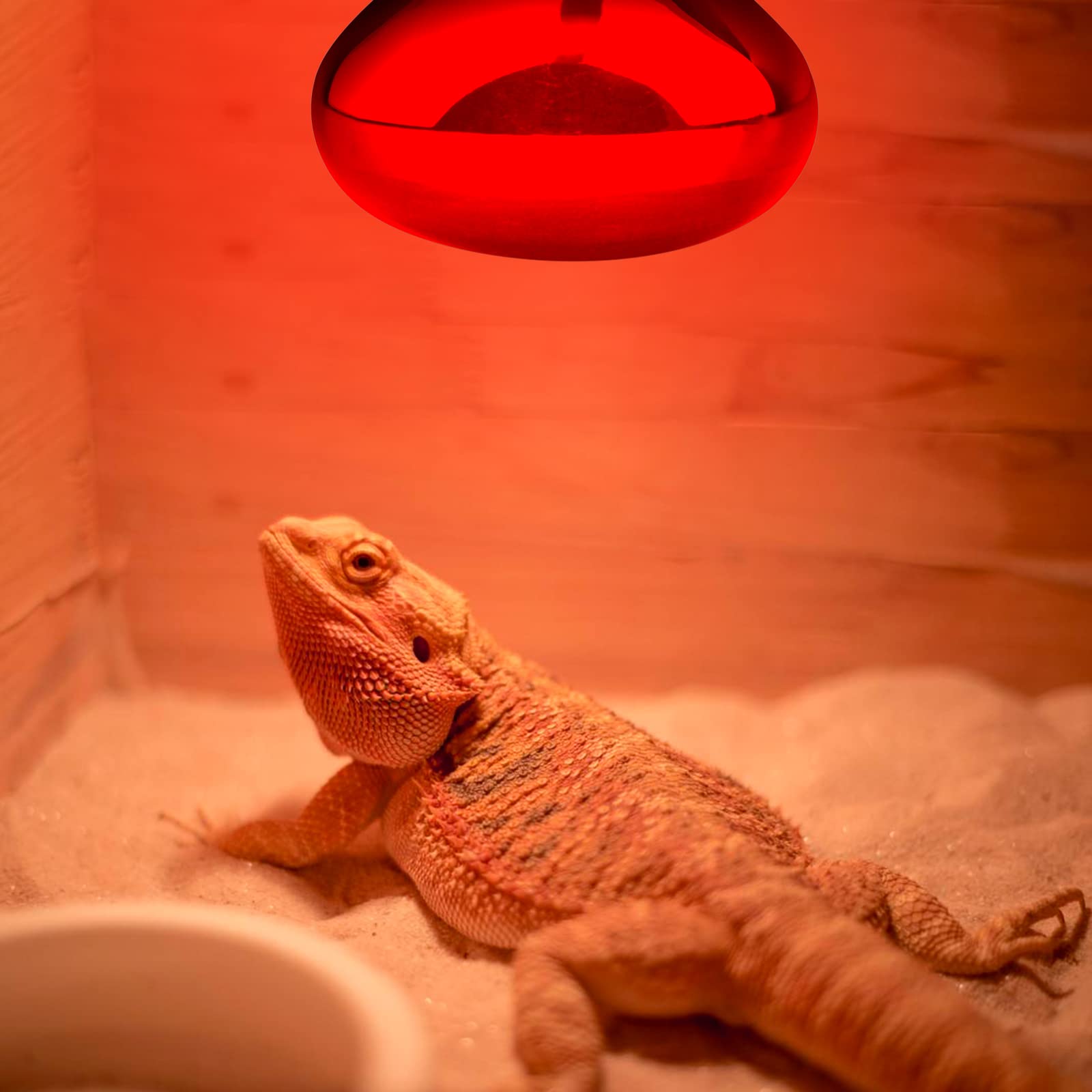Aiicioo Reptile Red Night Light Bulb - 150W Reptile Heat Lamp Bulb Infrared Basking Spot Lamp For Bearded Dragon Lizard Turtle H