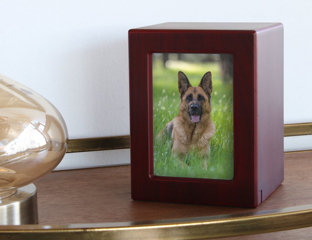 Near & Dear Pet Memorials Mdf Pet Photo Cremation Urn, 85 Cubic Inch, Cherry Finish