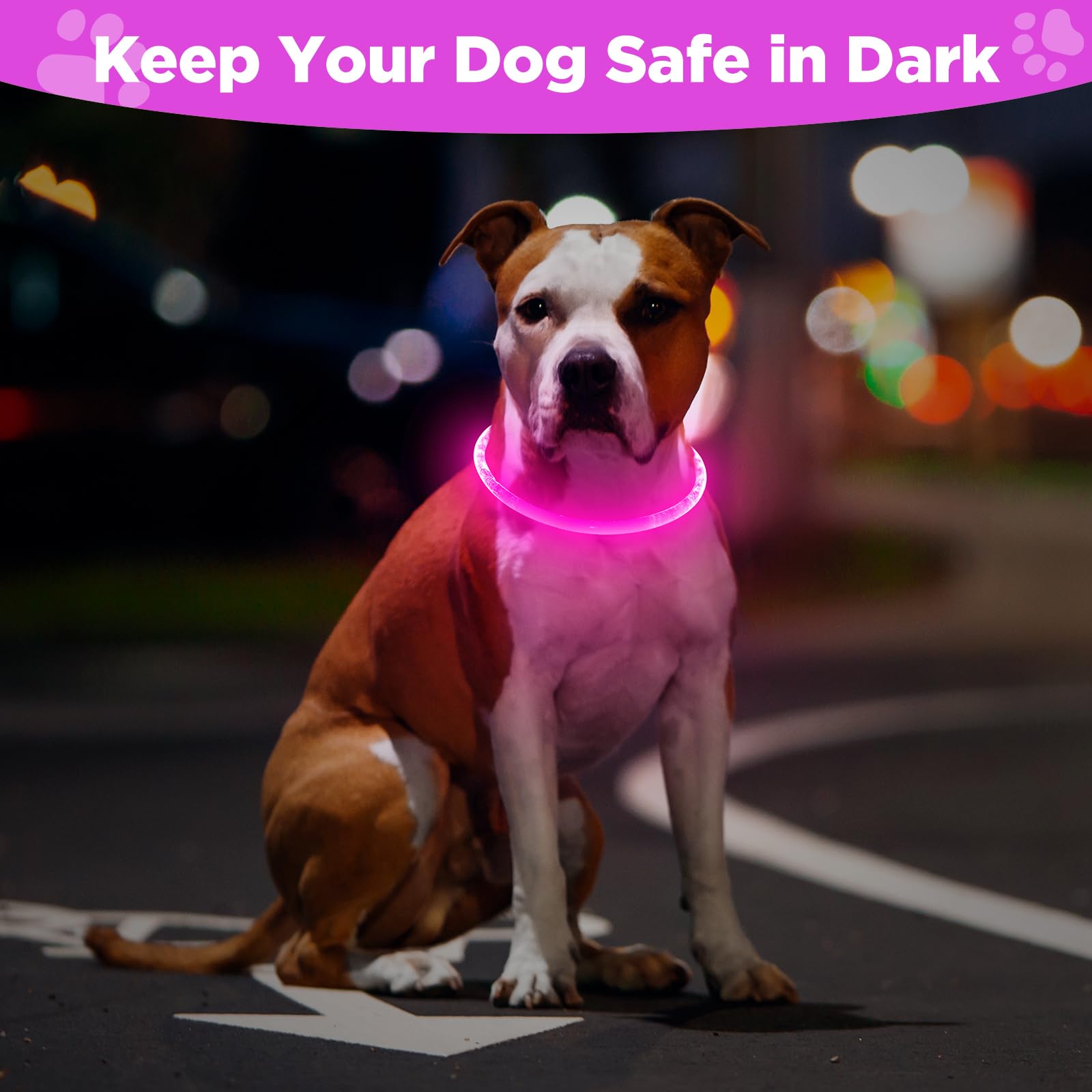 2 Pack Light Up Dog Collar, Usb Rechargeable Dog Collar Light For Night Walking, Led Lighted Dog Collar, Glow In The Dark Dog Co