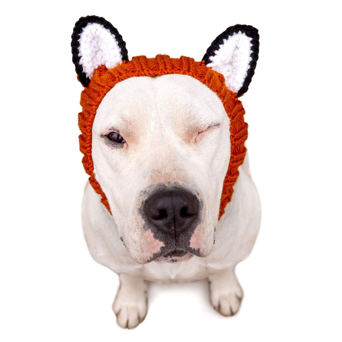 Zoo Snoods Fox Costume - Knit Dog Snood Ear Wrap For Pets, Warm Neck Cover For Halloween And Winter (Large)