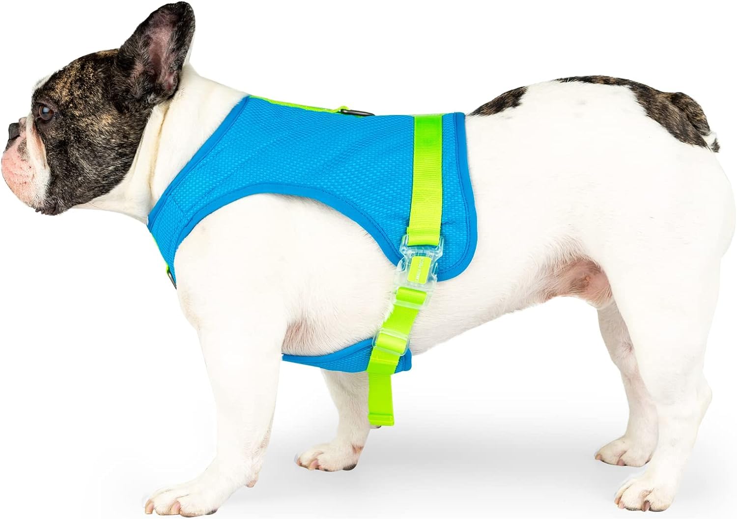 Canada Pooch Dog Cooling Harness - Evaporative Cooling Harness Vest For Dogs With Breathable Mesh Material & Reflective Lining, Adjustable Dog Cooling Vest Great For Dogs Blue