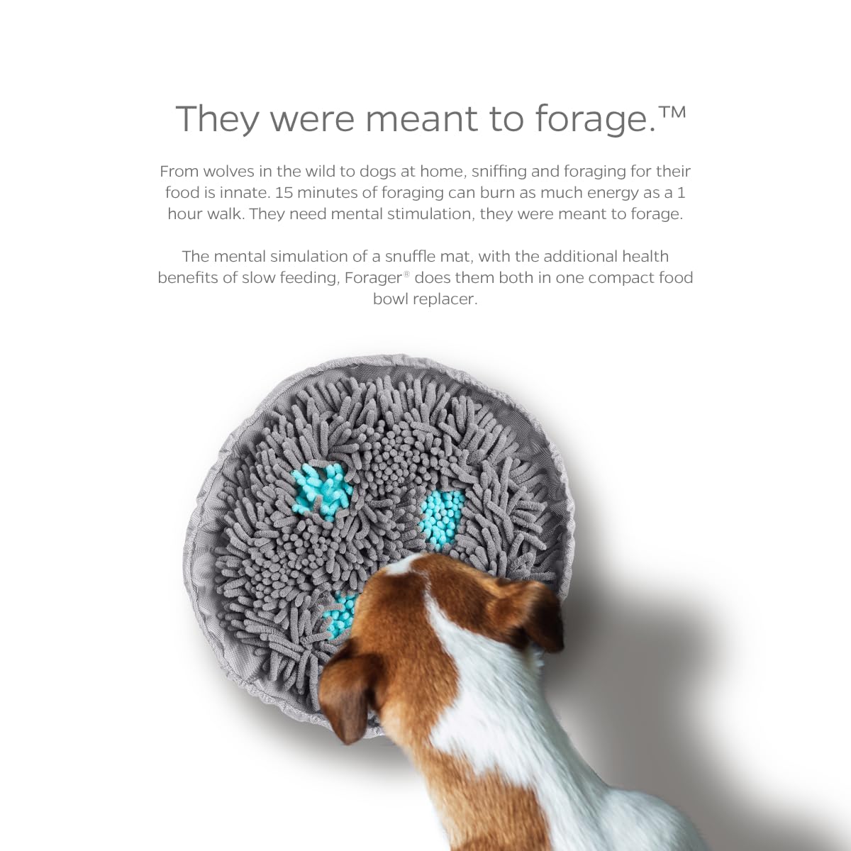 Pet Parents Forager Bowls, Slow Feeder Dog & Cat Bowls With Softsnout & Non-Slip Backing, Portable Pet Puzzle Toys & Snuffle Mat