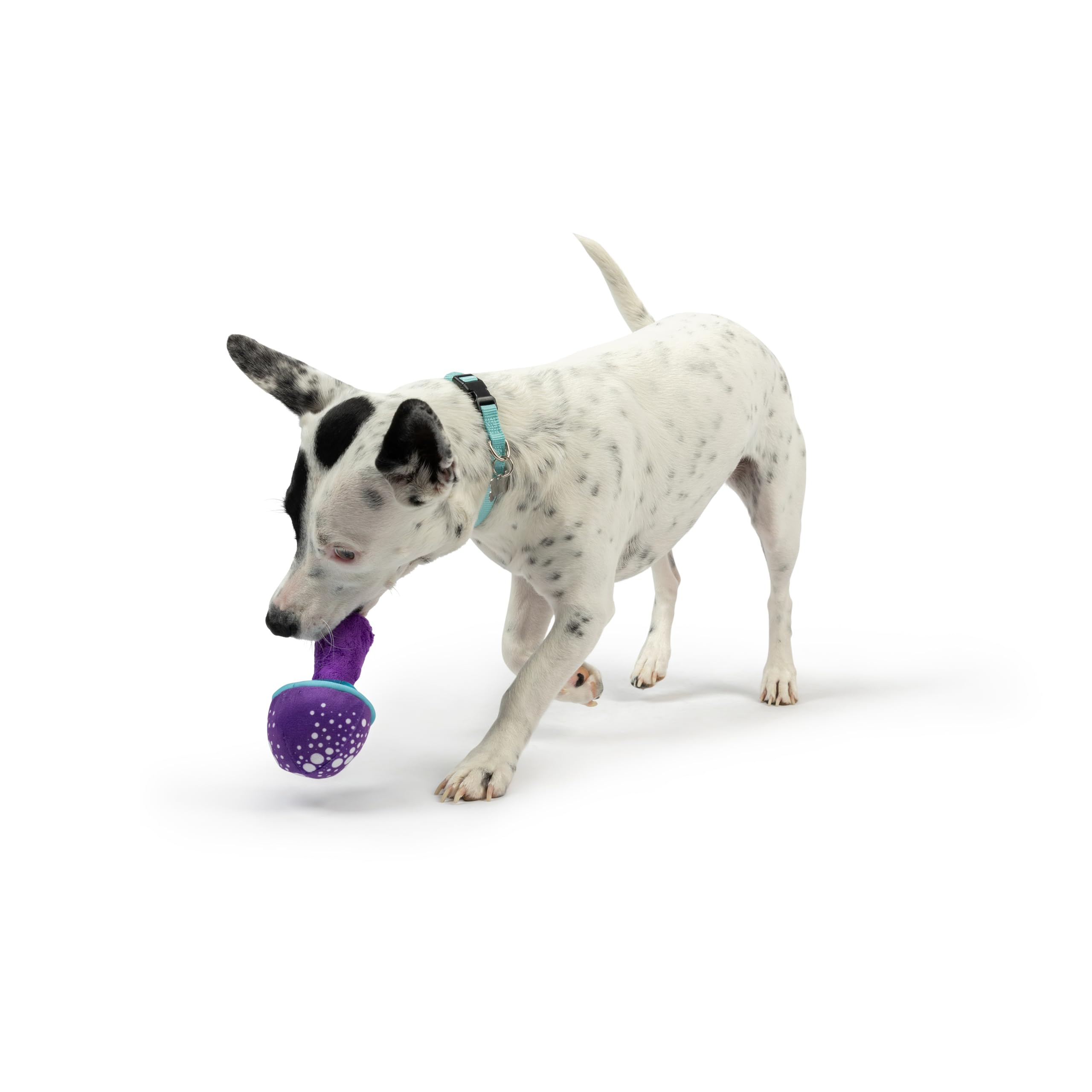 Huxley & Kent Tiny Tuff - Mellow Mushroom - Extra Tough Toy For Small Pups - Funny Dog Toy - Features Squeaker, Crinkle - Machin