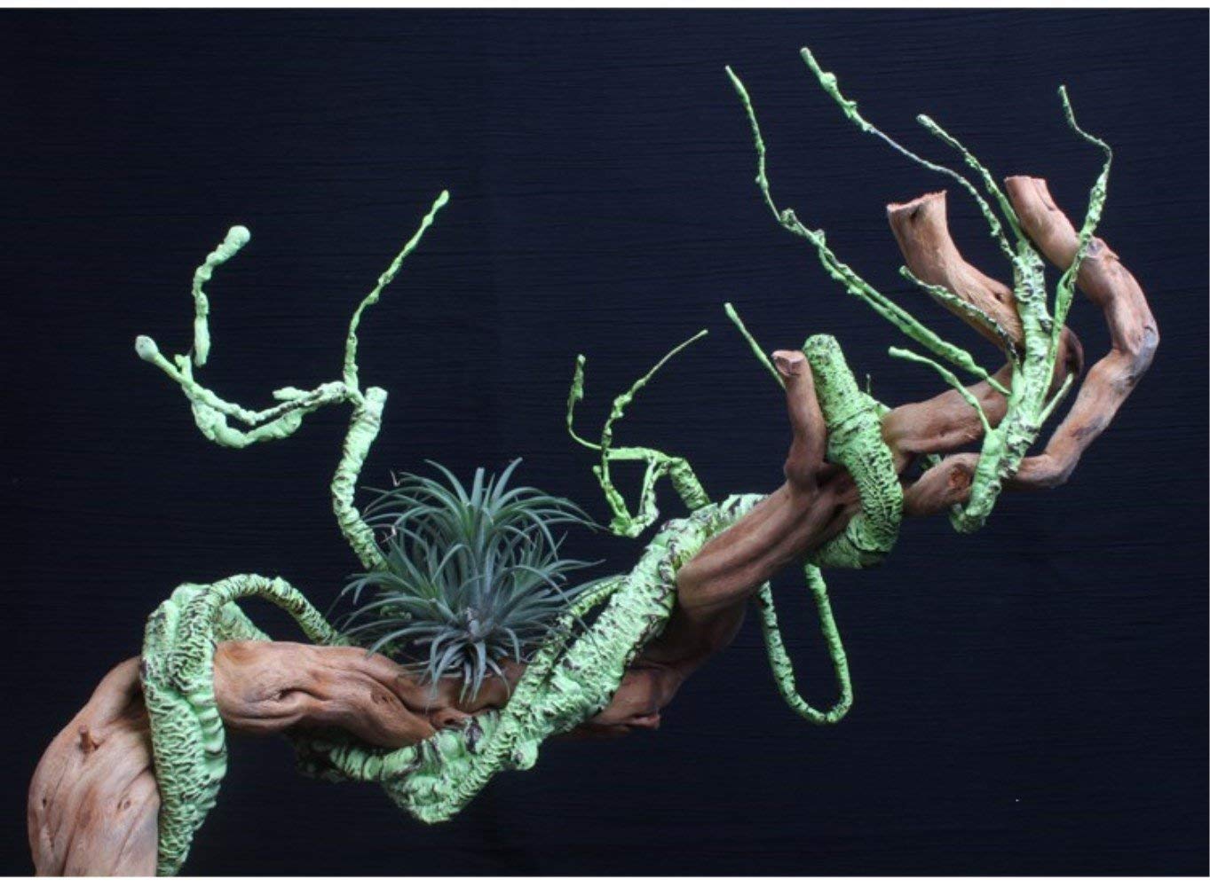 Hamiledyi Reptile Vines Flexible Bend A Branch Jungle Vines Plastic Terrarium Plant Leaves Pet Habitat Decor For Lizard Frogs Snakes And More Reptiles (Pack Of 3)