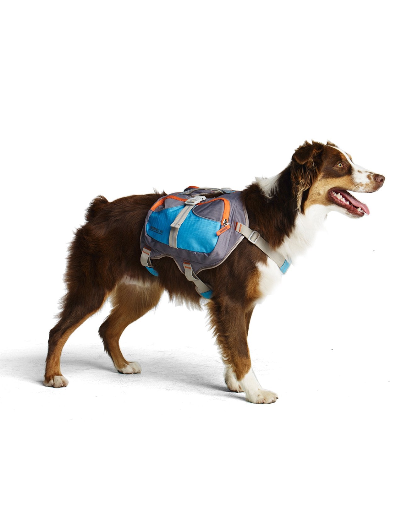 Cesar Millan Dog Backpack Large Blue