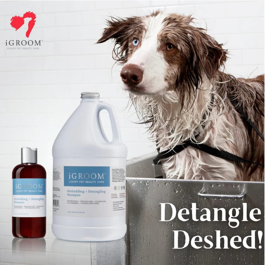 Igroom Deshedding & Detangling Dog Shampoo, Luxury Pet Beauty Care, Loosen Tangles + Unwanted Undercoat, Adds Shine + Volume, Made In Usa (1 Gal)