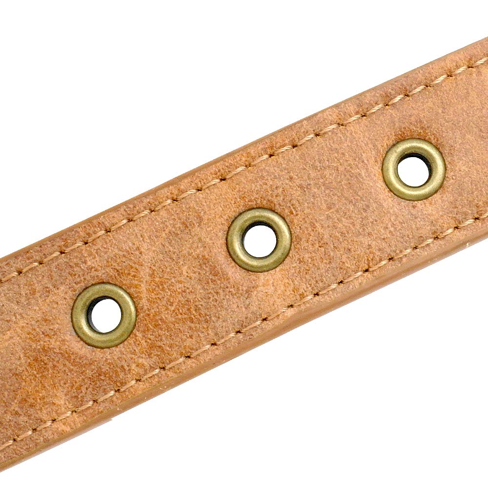Berry Pet 2' Spiked Leather Dog Collar - Anti-Bite Sharp Rivet Studded For Pit Bull Medium Large Dogs,Brown Neck For 14-19' Total Length 21.5'