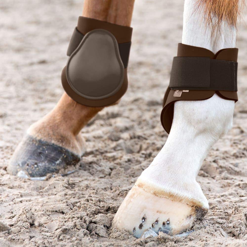 HORZE Chicago Fetlock Rear Boots | Lightweight, Adjustable, Jumping Horse Boots (Pair) - Chocolate Brown - Horse