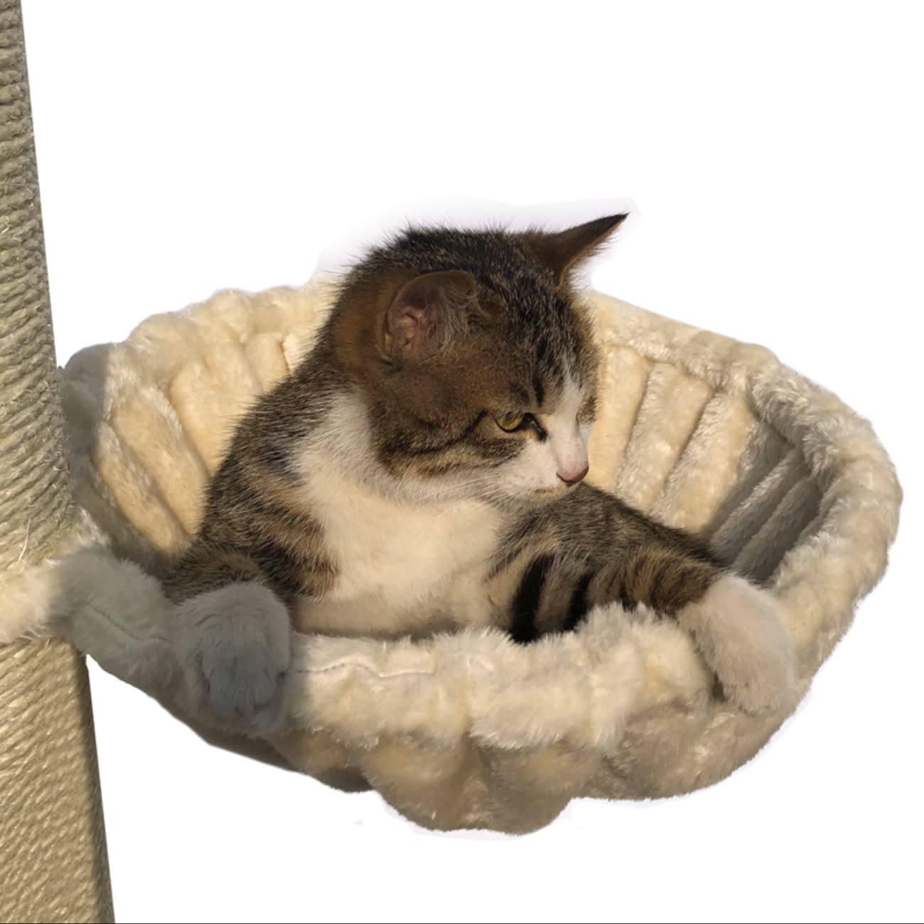 Shengocase 13 Brown Nest Basket Lounger Hammock Bed For Cat Tree Cat Tower Replacement, 5-Pack Hanging Toys, Cat Tree Accessor
