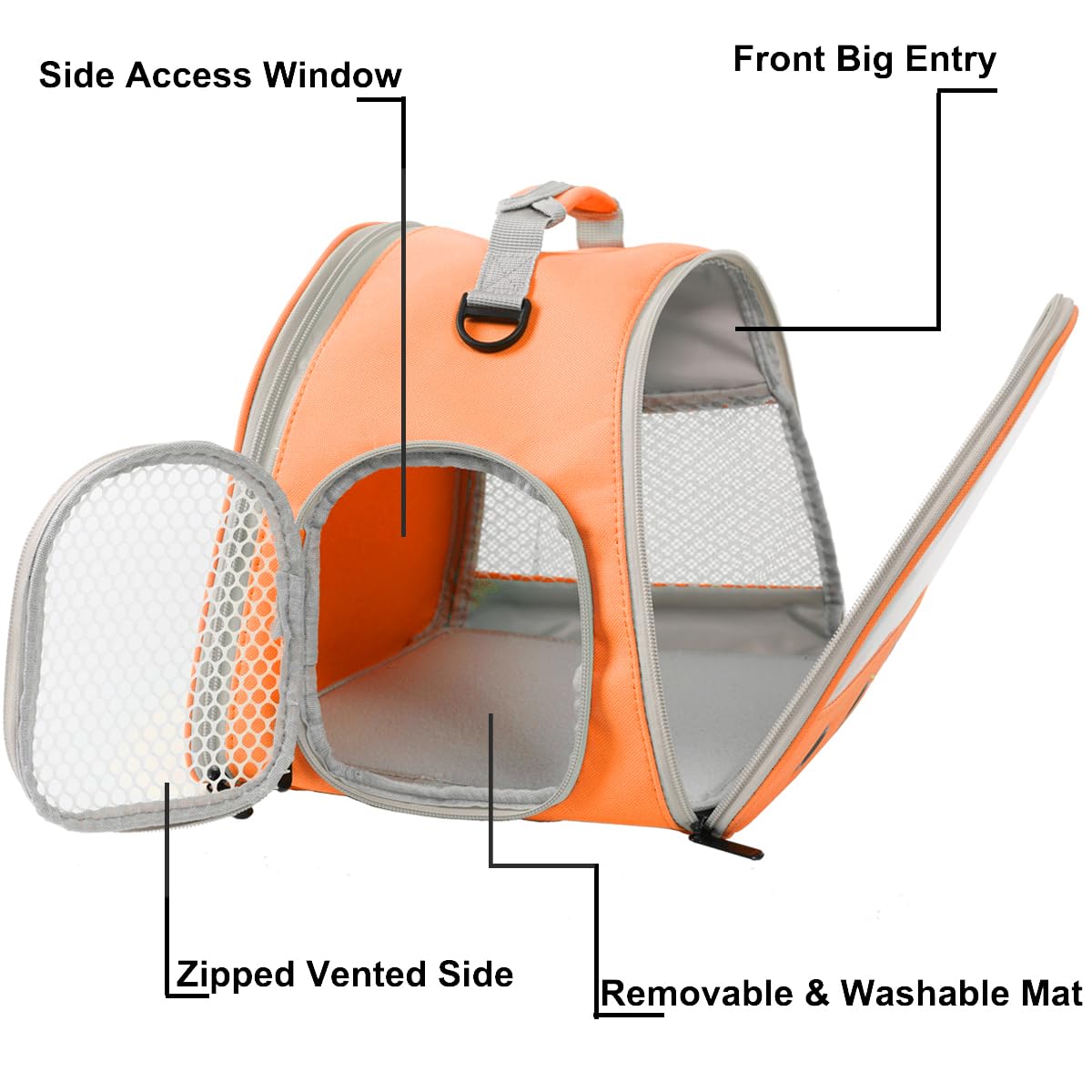 Guinea Pig Carrier,Guinea Pig Carrier For 2,Reptile Travel Carrier For Lizards Sugar Glider Hedgehog Rat Parrot Birds