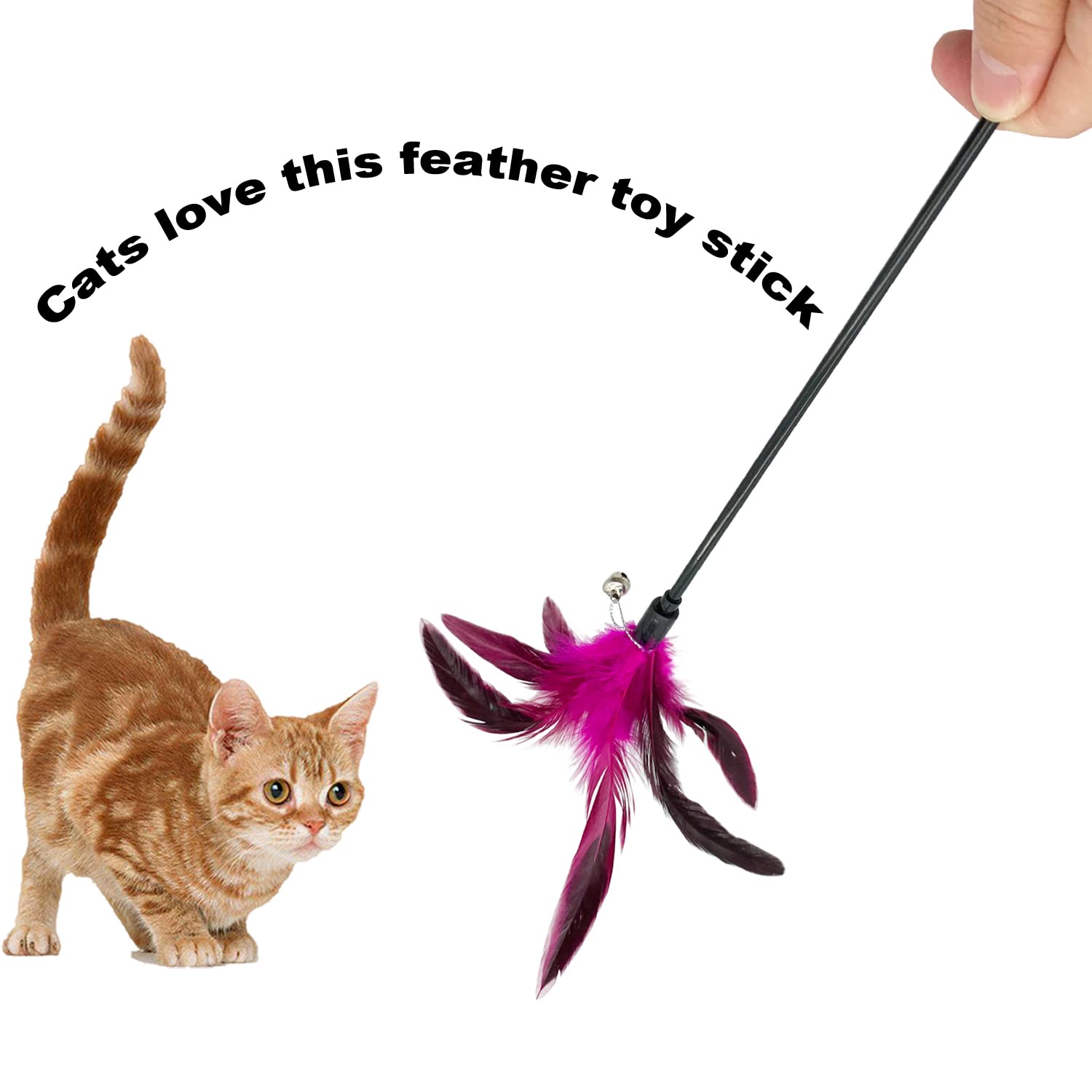 CATENESS Cat Wand Toy Feather Stick - 6 PCS Interactive Toys for Indoor Cats, Colorful Cat Feathers for Playtime Fun