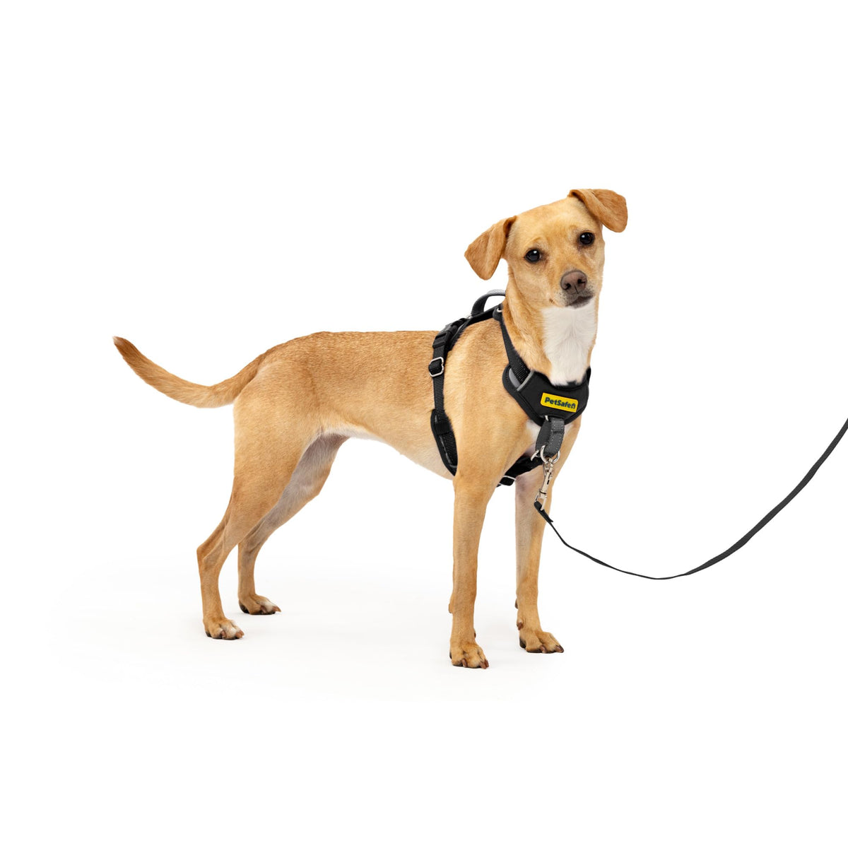 Petsafe Easy Walk Comfort No-Pull Dog Harness Full-Body Padding - Better Walks On The First Use - 5 Points Of Adjustment X-Small