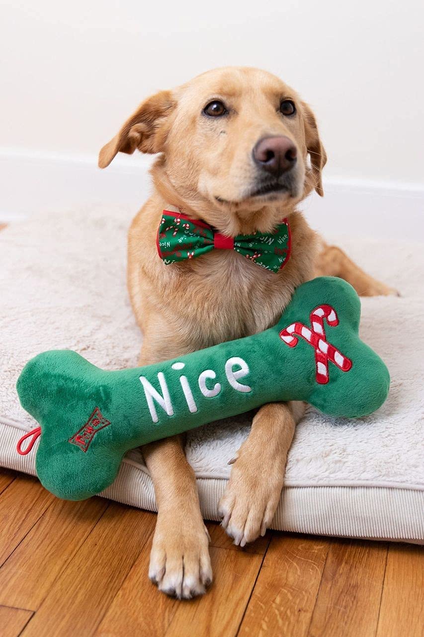 Huxley & Kent Naughty & Nice Bow Tie For Pets | Large, Comfortable & Durable Christmas Holiday Bow Tie Collar Attachment For Dog