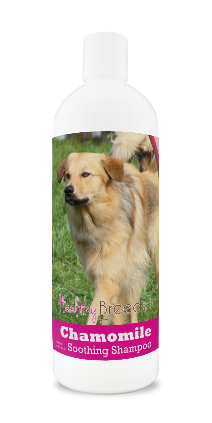 Healthy Breeds Chinook Chamomile Soothing Dog Shampoo 8 oz