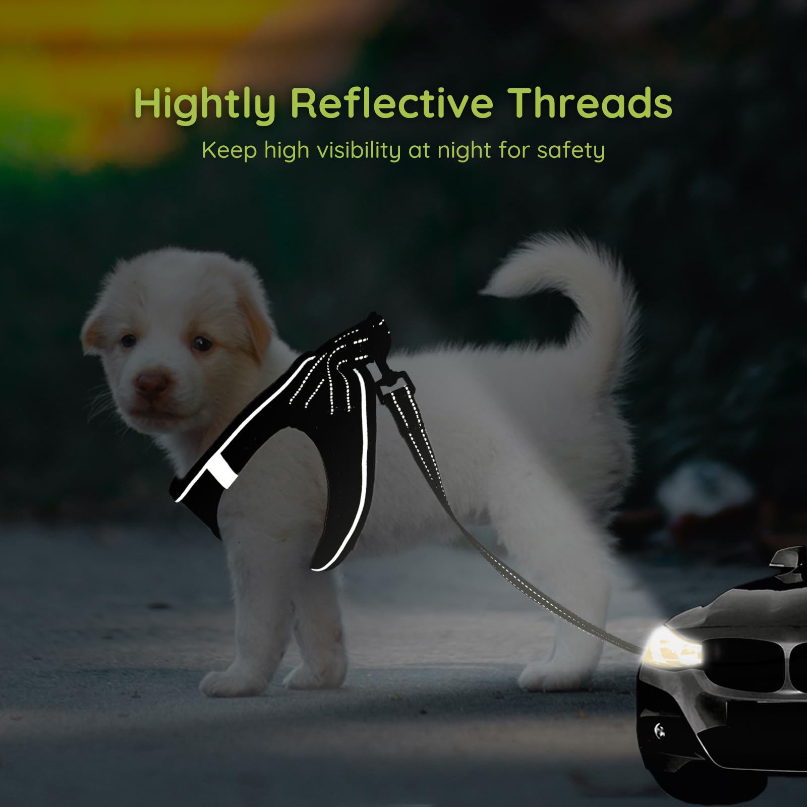 Bella & Pal Puppy Harness & Leash Set, No Pull Step-In Harness For Extra Small Dogs, Black