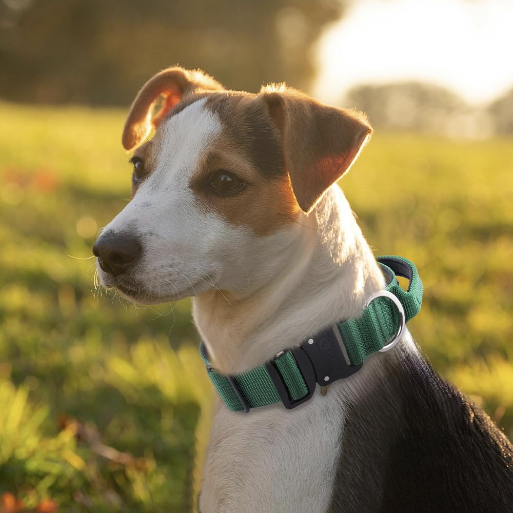 Tspro Premium Dog Collar With Handle Thick Dog Collar Adjustable Dog Collar Heavy Duty Quick-Release Metal Buckle Dog Collar For Small Or Medium To Extra Large Dogs(M-Pink)