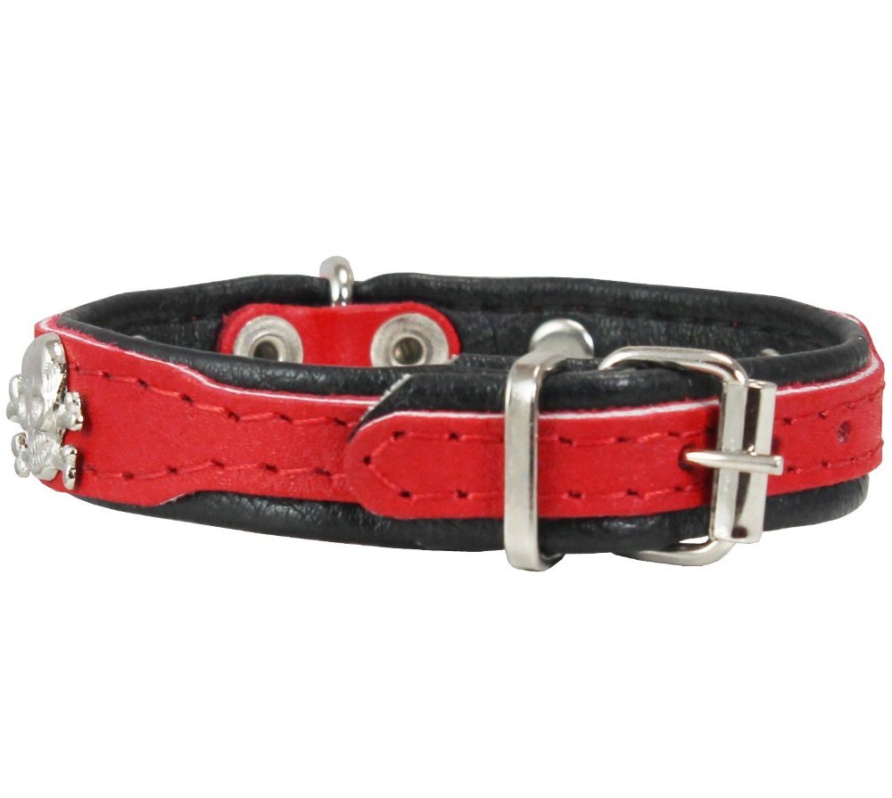 Dogs My Love Real Leather Skull Studded Padded Dog Collar (8.75''-10.5'' Neck; 1/2'' Wide, Red/Black)