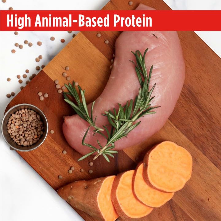 Nulo Limited Ingredient High-Protein Turkey Dog Food, Grain-Free, 24 lb for Adults & Puppies, Single Animal Protein