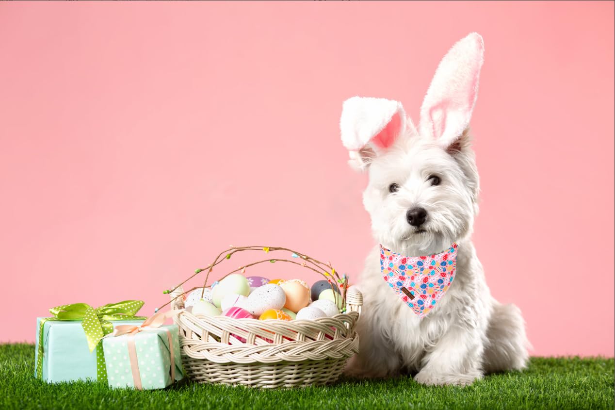 Lionet Paws Easter Dog Collar With Flower,Pink Dog Collar With Colorful Egg Flower For Girl Dogs, L, Neck 16-24 In