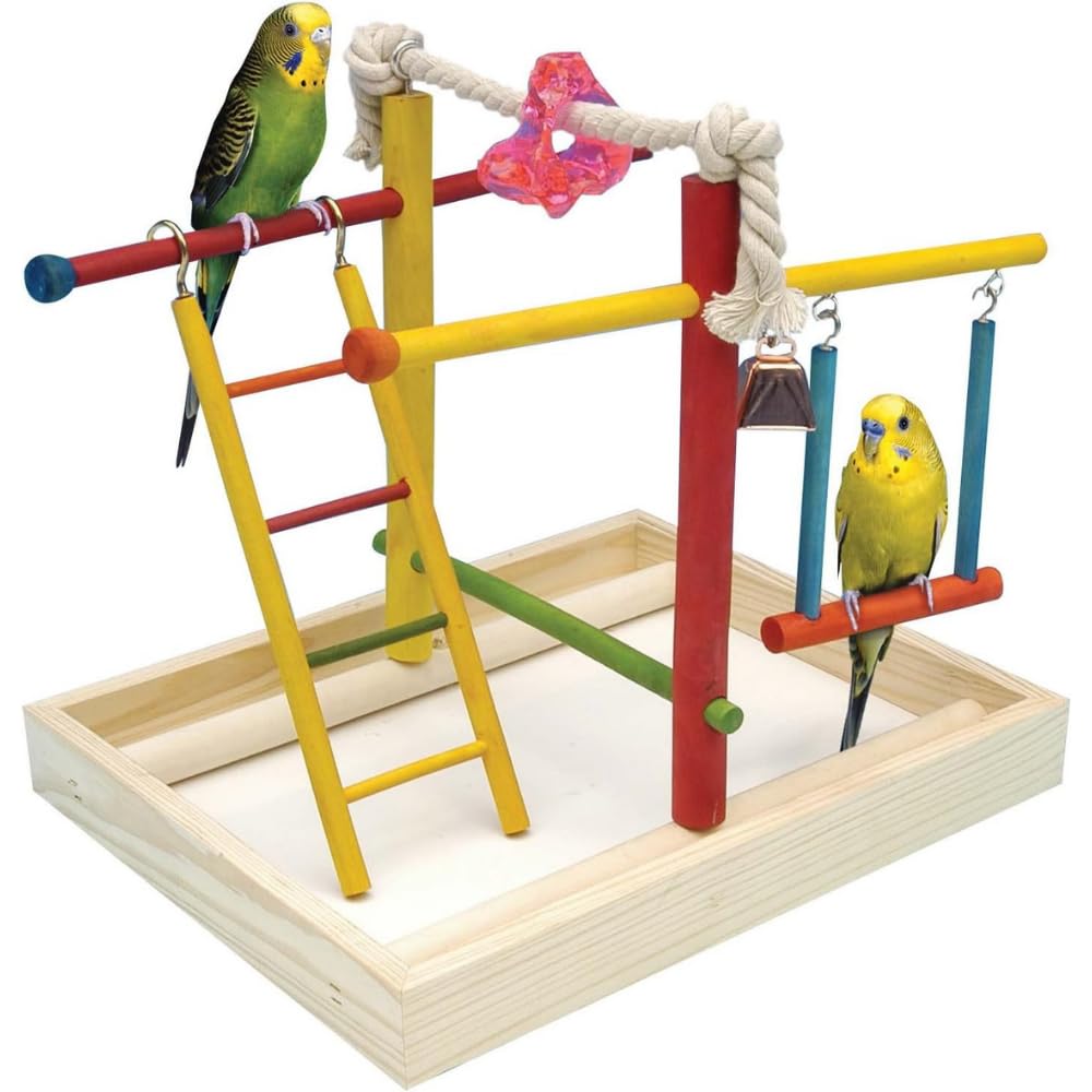 Penn-Plax Bird Life Wooden Playpen - Perfect for Parakeets, Lovebirds, Parrotlets, Cockatiels, and Green Cheek Conures - Medium