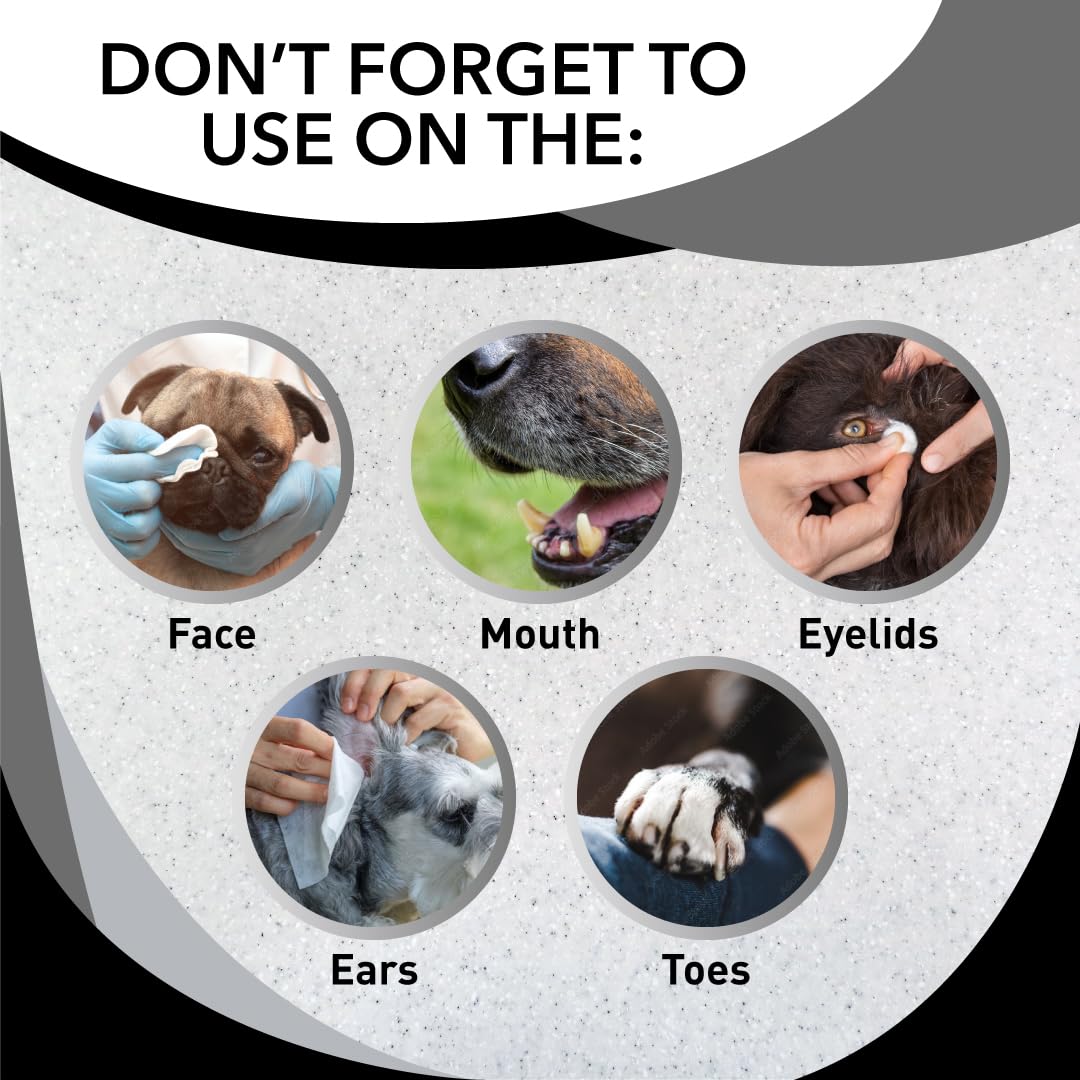 Skunk Off Pet Shampoo – Ready To Use Skunk Odor Remover For Dogs, Cats, Home, Carpet, Car & More – Non-Enzymatic Skunk Shampoo Dogs – Pet Odor Eliminator For Skunk Odor (8 Oz)