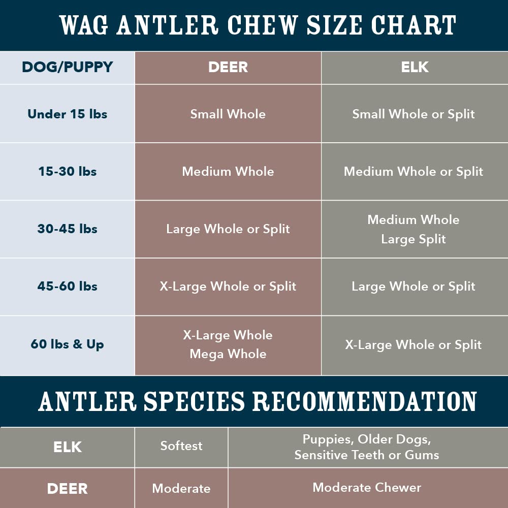 Amazon Brand - Wag Dog Elk Antler Chew, Naturally Shed, Whole, Large 8-9.5 inches, Long Lasting for Aggressive Chewers, Best for