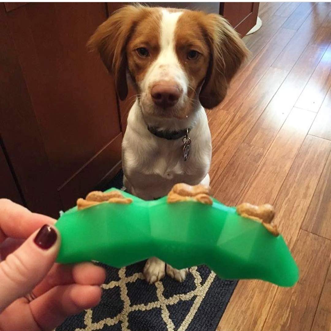 Spunky Pup Interactive Treat Dog Toy - Promotes Healthy Teeth & Gums - Green Bean - Model 8006 - Rubber/Plush