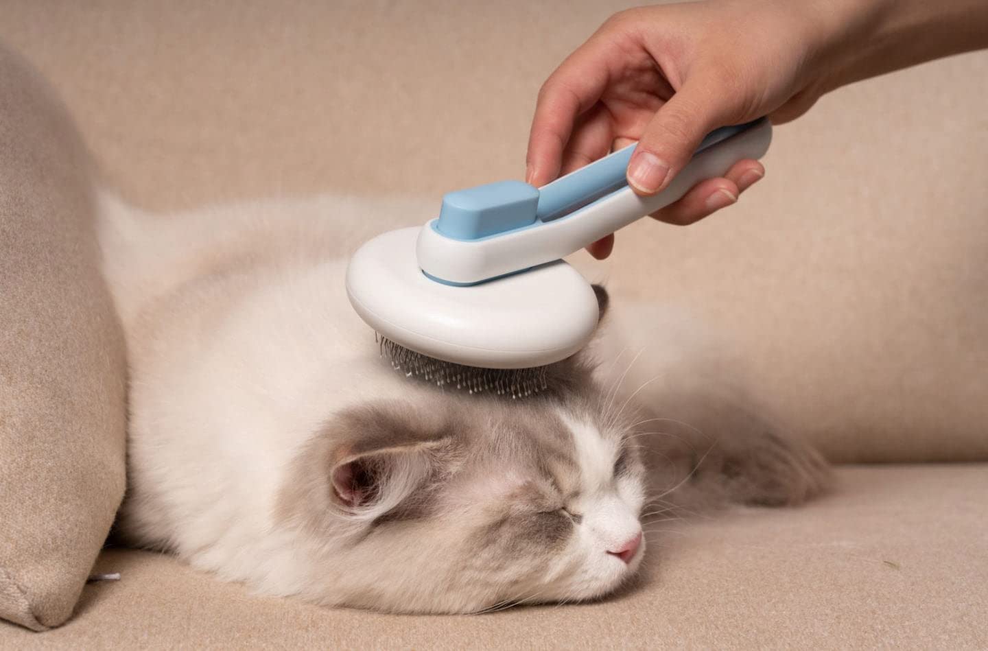 Pet Life ® 'Concepto' Modern Bristle Grooming Pet Deshedder Comb