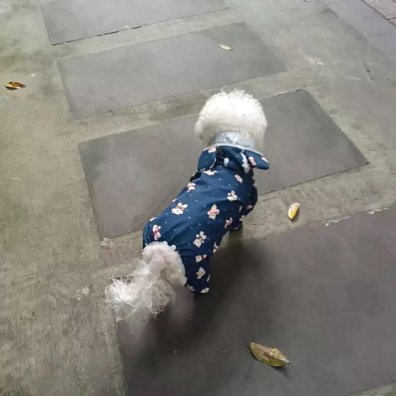Harikaji Small Dog Raincoat, Tail Protect Feet Cover Waterproof Dog Rain Jacket Dog Rain Coat For Puppy Small Dogs (Navy Bear,L)