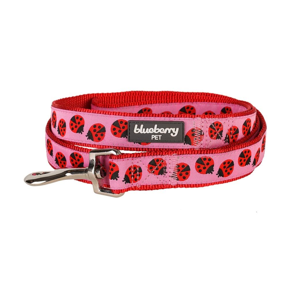 Blueberry Pet Essentials 2 Patterns Durable Pink Webbing Ladybug Designer Dog Leash 5 Ft X 5/8', Small, Basic Nylon Leashes For Dogs