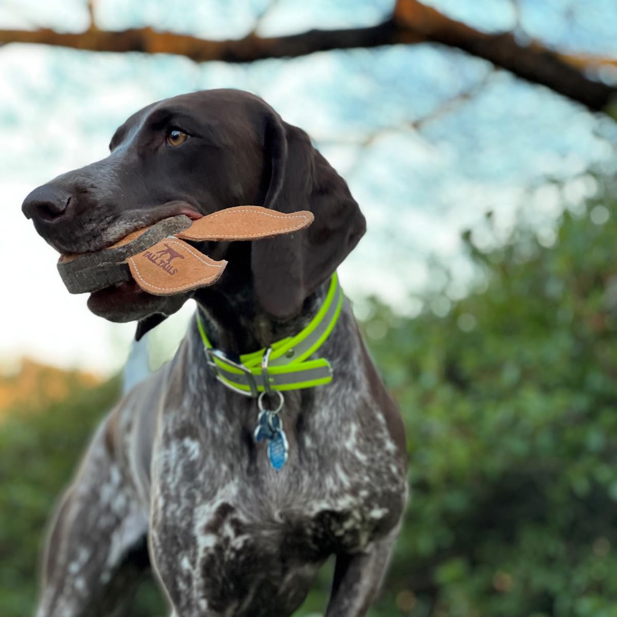 Tall Tails Dog Natural Leather Scrappy Fetch Toy For Dogs, Rabbit